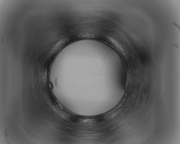 X0000091660163200709131516