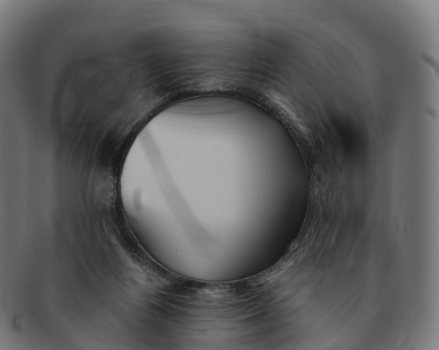 X0000091660164200709131516