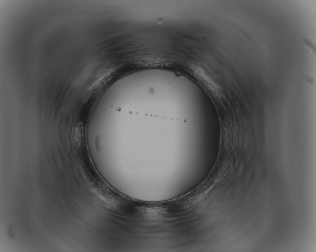 X0000091660165200709131516