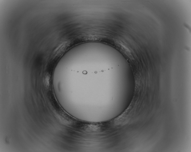 X0000091660166200709131516