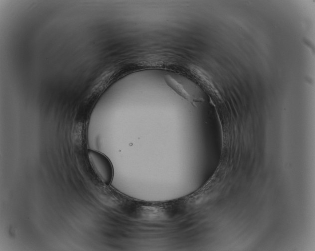 X0000091660167200709131516