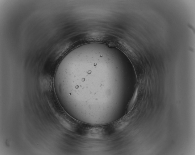 X0000091660168200709131516