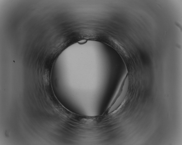 X0000091660170200709131516