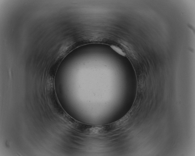 X0000091660172200709131516