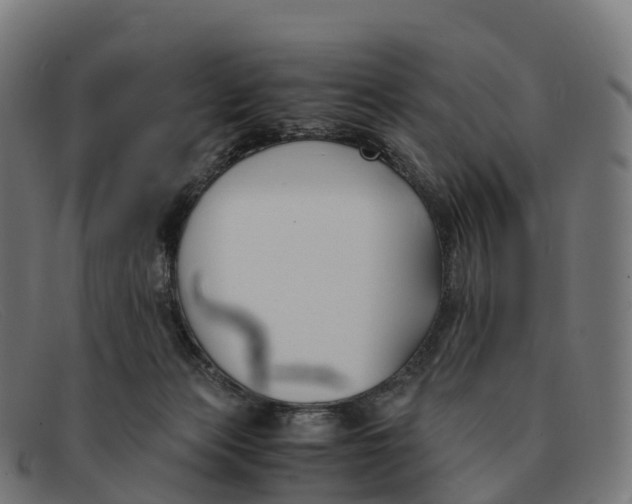 X0000091660173200709131516