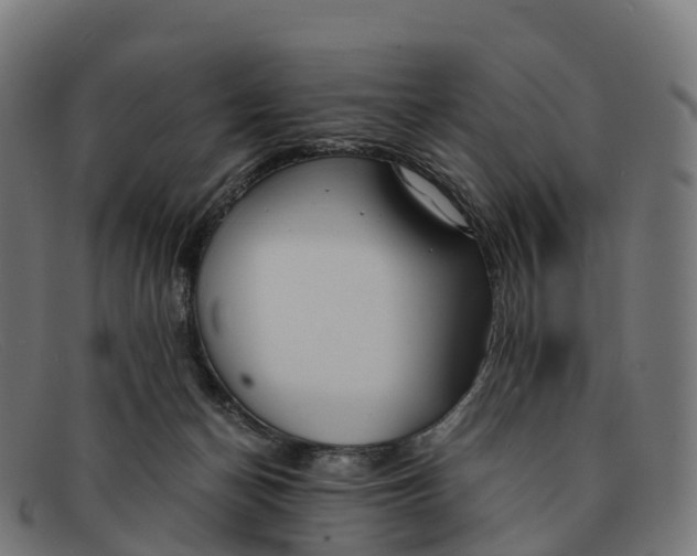 X0000091660174200709131516