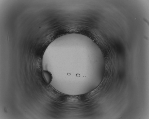 X0000091660175200709131516