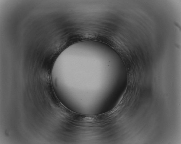 X0000091660176200709131516