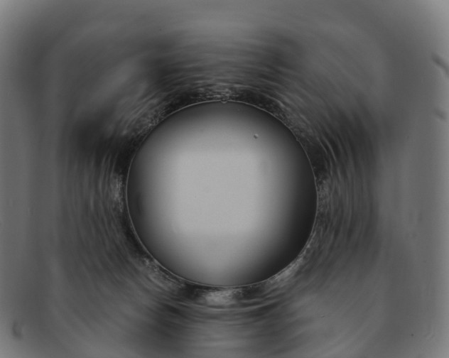 X0000091660178200709131516