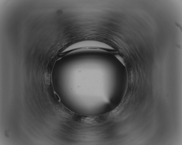 X0000091660180200709131516