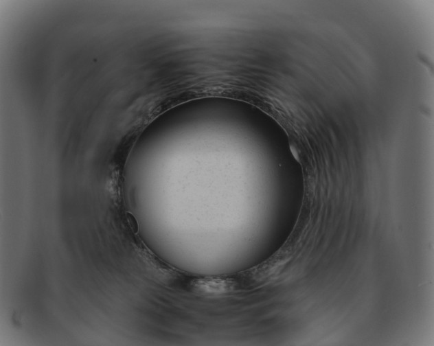 X0000091660181200709131516