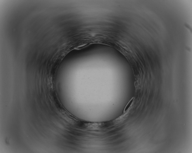 X0000091660182200709131516