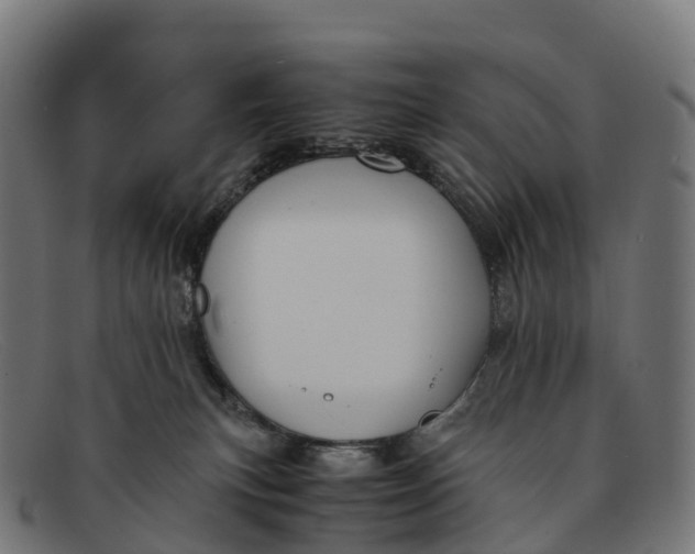 X0000091660183200709131516