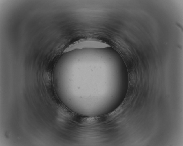 X0000091660184200709131516