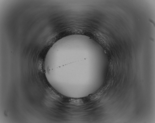 X0000091660185200709131516