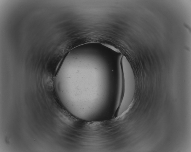 X0000091660186200709131517