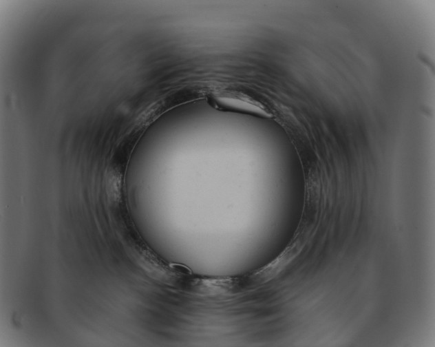 X0000091660188200709131517