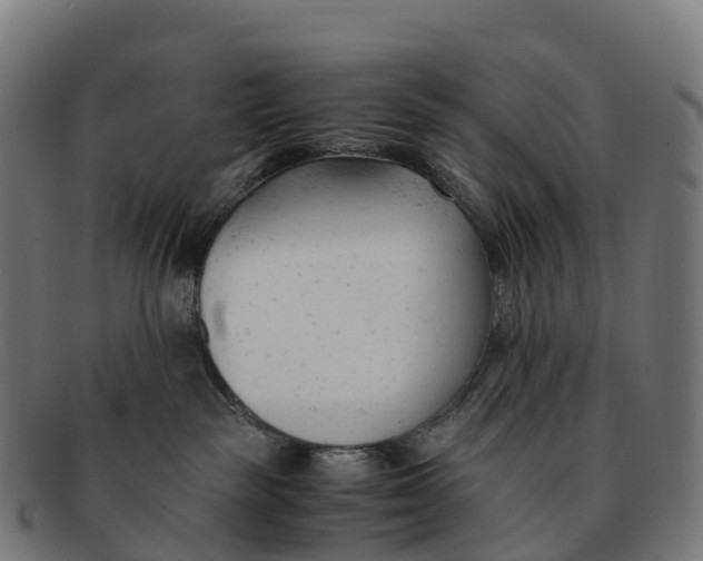 X0000091660189200709131517