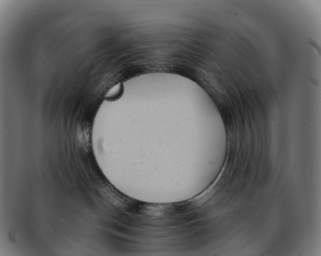 X0000091660190200709131517