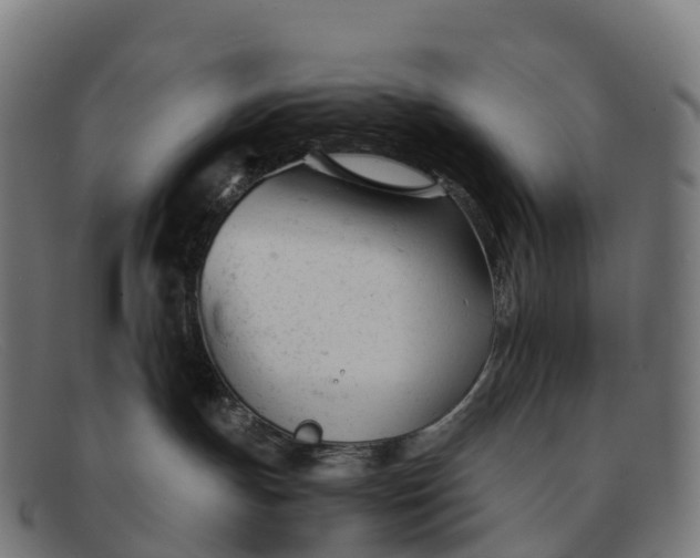 X0000091660191200709131517