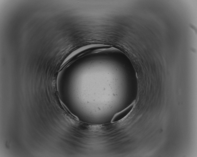 X0000091660192200709131517