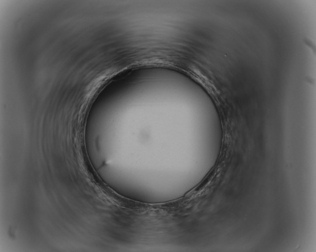 X0000091660193200709131516