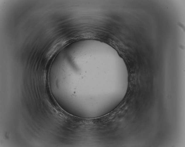 X0000091660194200709131516