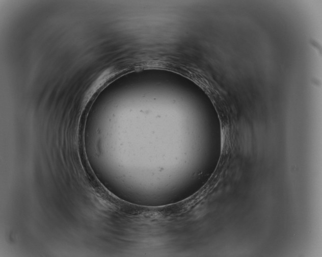 X0000091660195200709131516