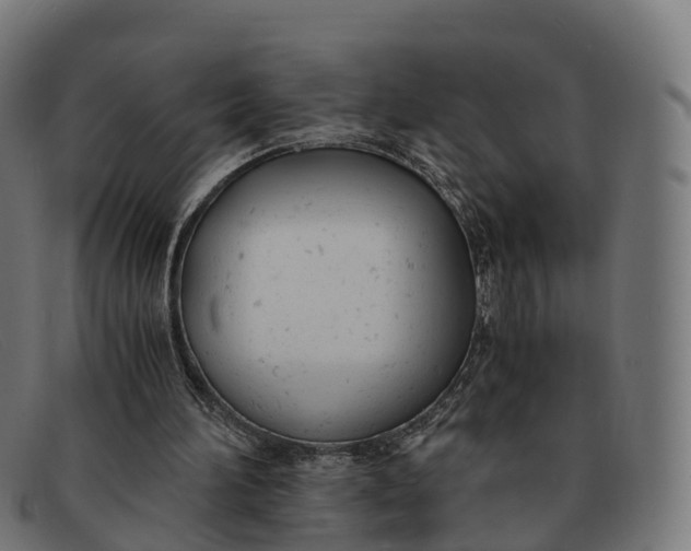 X0000091660196200709131516