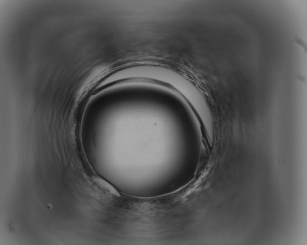 X0000091660197200709131516