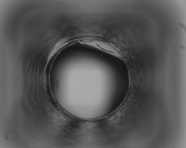 X0000091660198200709131516