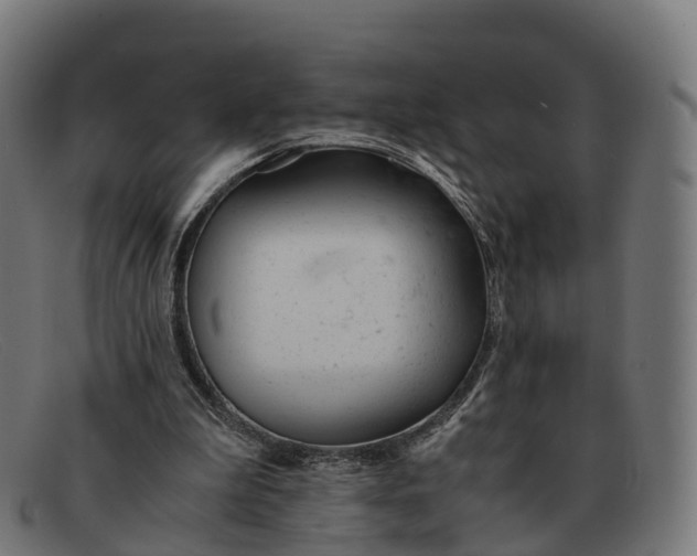 X0000091660199200709131516