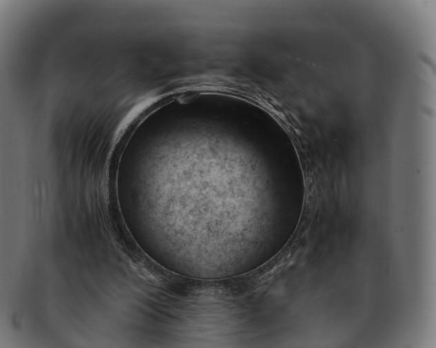 X0000091660200200709131516