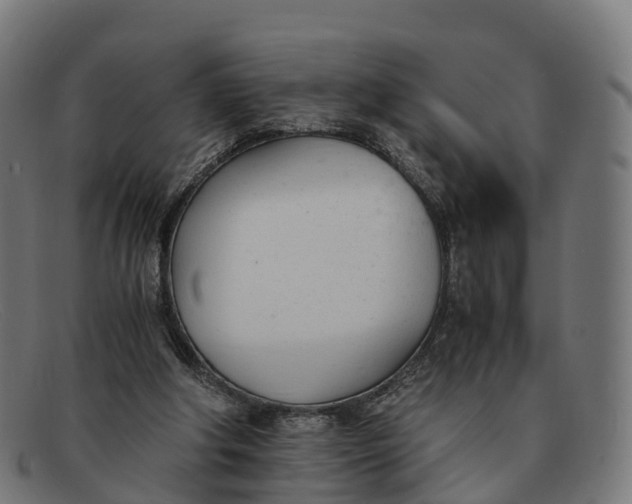 X0000091660202200709131516