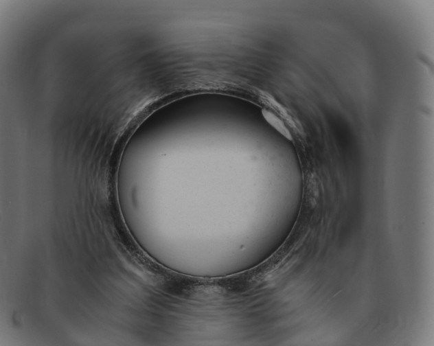 X0000091660203200709131516