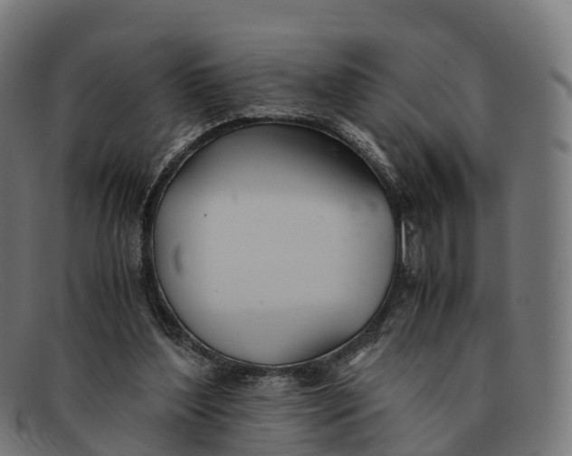 X0000091660204200709131516