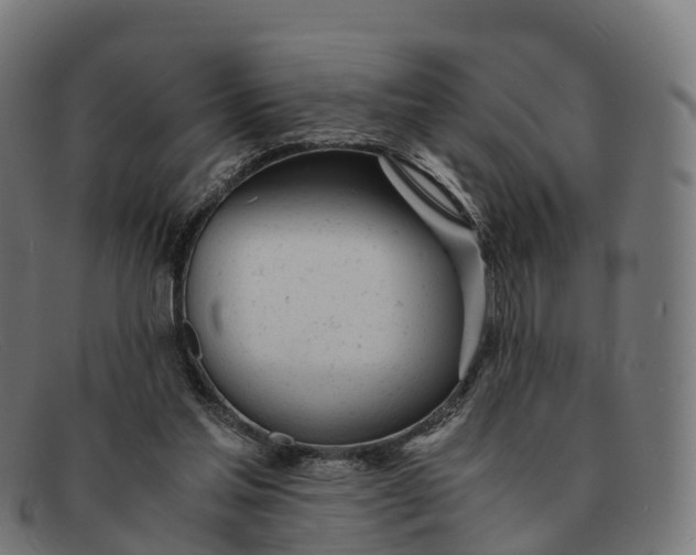 X0000091660205200709131516