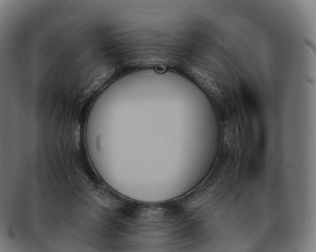 X0000091660206200709131516