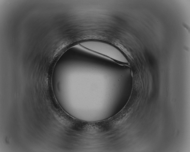 X0000091660207200709131516