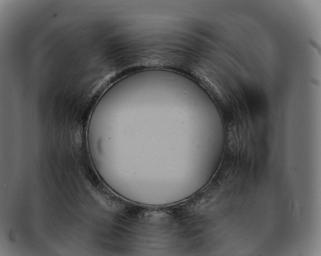 X0000091660208200709131516