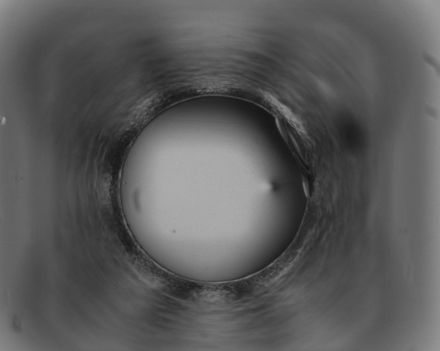 X0000091660209200709131516