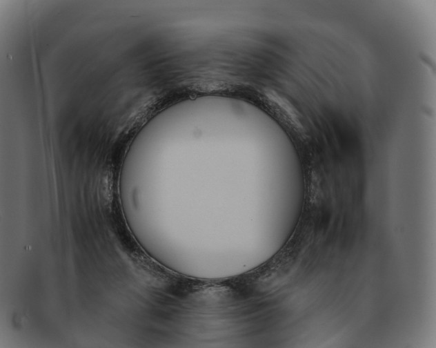 X0000091660210200709131516