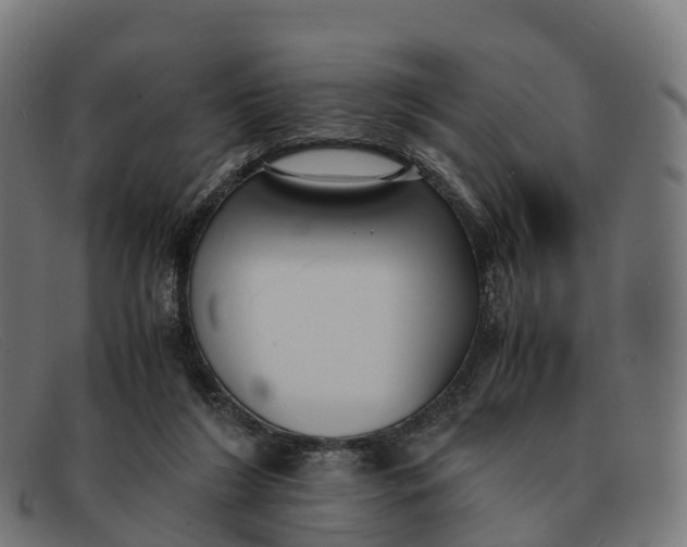 X0000091660212200709131516