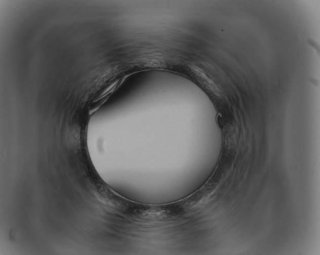 X0000091660213200709131516