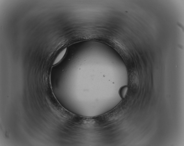 X0000091660214200709131516