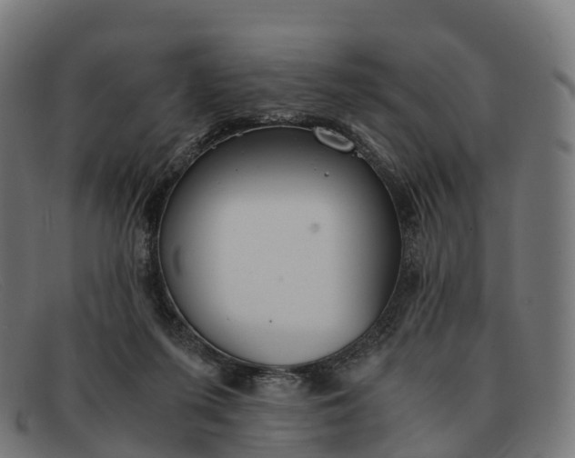 X0000091660215200709131516