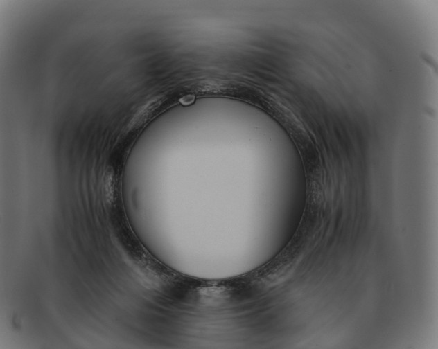 X0000091660216200709131516