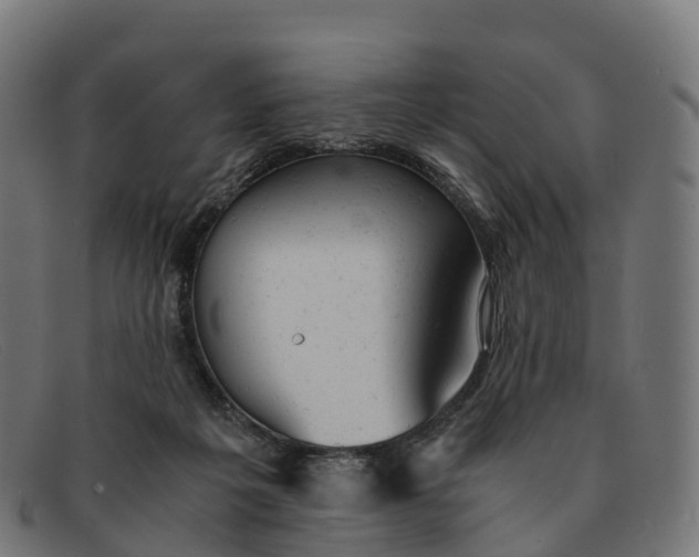 X0000091660217200709131516