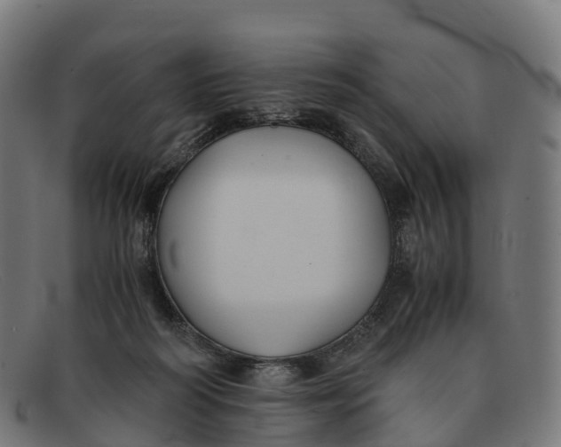 X0000091660218200709131516