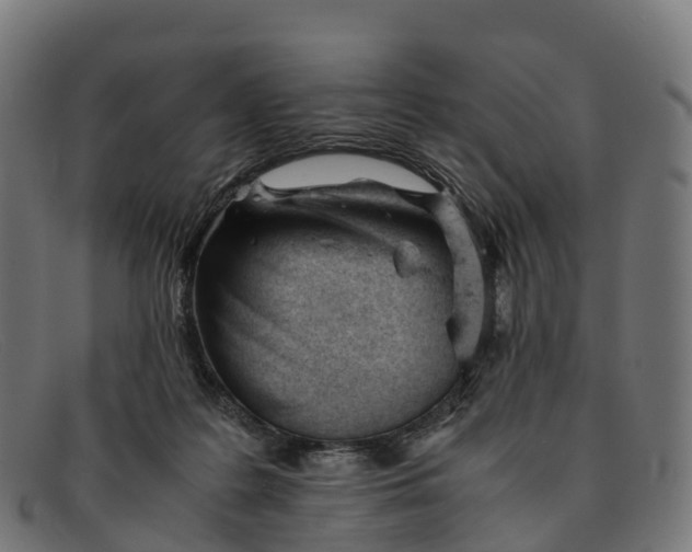 X0000091660219200709131516